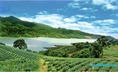 SUN VALLEY FARM – ĐIỂM ĐẾN SINH LỜI TƯƠNG LAI Đường Tàn Đà, 2