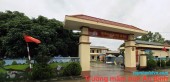 Đường Hồ Chí Minh, An Bình