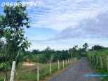 Đường 19/5, Ea Kao