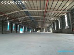 Cho thuê cụm kho xưởng 11.000m² mới xây – Bàu Bàng / Bến Cát – điện 1.000KVA Đường 13C, Long Nguyên