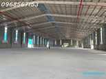 Cho thuê cụm kho xưởng 11.000m² mới xây – Bàu Bàng / Bến Cát – điện 1.000KVA Đường 13C, Long Nguyên