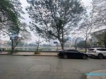 Bán đất mặt tiền 11m phố Kim Mã, Ba Đình, ngõ vỉa hè ô tô tránh, gần hồ NK, 189m, 91 tỷ