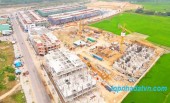 Đường trần quốc hoàn, Trần Quang Diệu