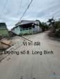 Đường Số 8, Long Bình