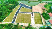 Đường 15B, Bến Nghé