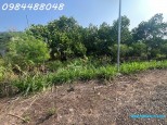 Đường Tân Hiệp, Xuân Hiệp