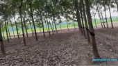 Đường , Tân Biên
