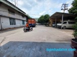 Đường Nguyễn Văn Quá, Đông Hưng Thuận