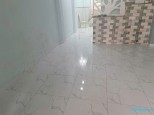 Đường Huỳnh Tấn Phát, Tân Thuận Đông