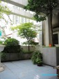 Đường Trần Phú, Văn Quán