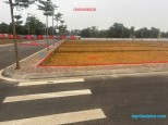 Đường 446, Quốc Oai
