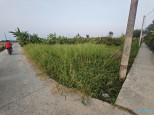 Đường Đan, Đức Tân