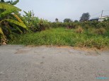 Đường Đan, Đức Tân