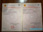 Bán gấp 1400m2 đất thổ cư mặt tiền đường 12, Trảng Bom, Đồng Nai - Sổ đỏ chính chủ - 37 tỷ