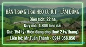 Siêu Trang Trại Heo 22ha - Thu Nhập cho thuê 24 Tỷ/Năm