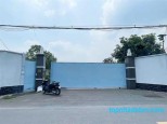 [XN42 - QUỸ ĐẤT ĐẮC ĐỊA] MẶT TIỀN TỈNH LỘ 8 CỦ CHI – 1.800m2 (25m x 75m)