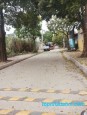 Đường 1, Cổ Đông