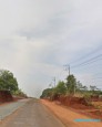 BÁN VƯỜN TRÁI CÂY ĐẤT ĐỒNG NAI 240. Đường ĐT753, Tân Hưng