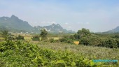 Đất Cao Phong Giá SỐC Chỉ Dưới 1 Triệu/m² Sở Hữu 6000m² View Cánh Đồng cách QL6 chưa đến 1km