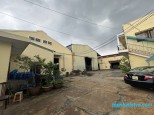 Đường Nguyễn Văn Quá, Đông Hưng Thuận