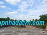 ► CHÍNH CHỦ BÁN ĐẤT DỰ ÁN THAILIA VALLEY TRUNG TÂM UÔNG BÍ – QUẢNG NINH Đường 10, Thanh Sơn