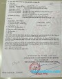 Đường 1, Tân Xuân