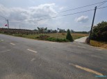 Đường Đan, Đức Tân