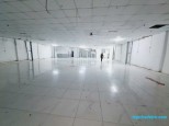 ???? XƯỞNG 600M² BÀ ĐIỂM – GẦN BẾN XE AN SƯƠNG – GIÁ CHỈ 45 TRIỆU ????